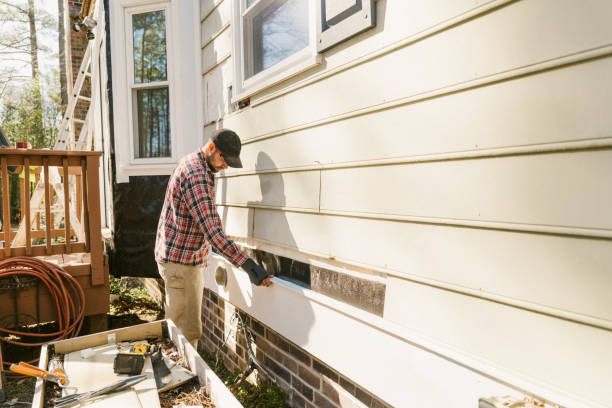 Top rated local Emergency Siding Repair specialists in Algonquin, IL